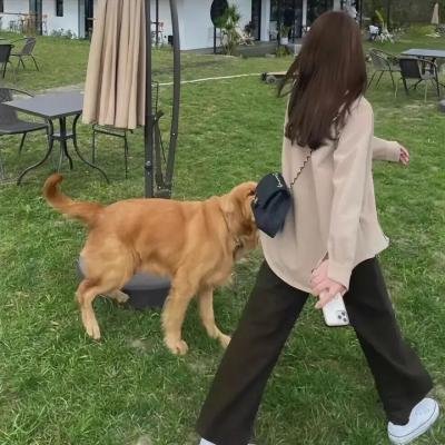 宝贝当家